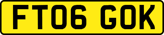 FT06GOK