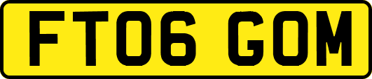 FT06GOM