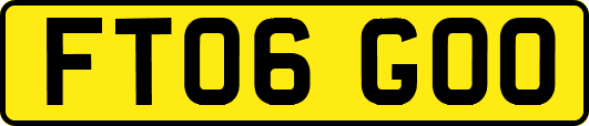 FT06GOO