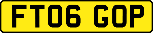FT06GOP