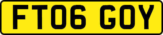 FT06GOY