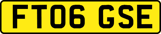 FT06GSE
