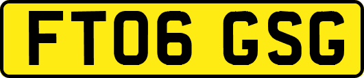 FT06GSG