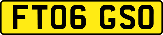 FT06GSO