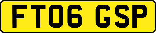 FT06GSP