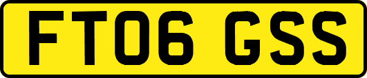FT06GSS