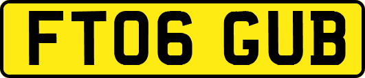 FT06GUB