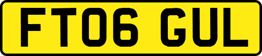 FT06GUL