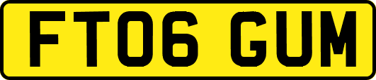 FT06GUM