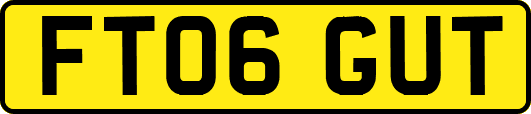 FT06GUT