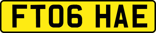FT06HAE