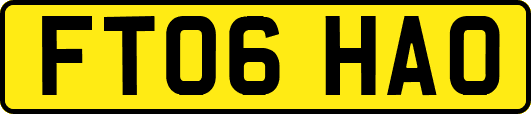 FT06HAO