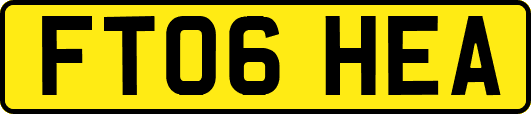FT06HEA
