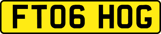 FT06HOG