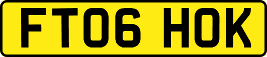 FT06HOK