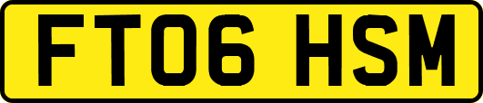 FT06HSM