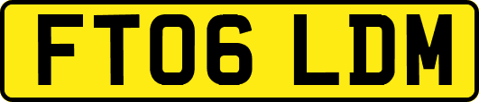 FT06LDM