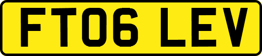 FT06LEV