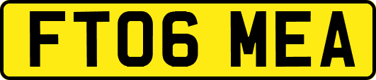 FT06MEA