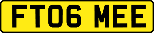 FT06MEE