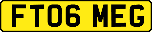 FT06MEG