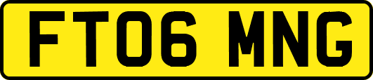FT06MNG