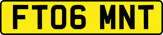 FT06MNT
