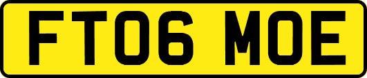 FT06MOE