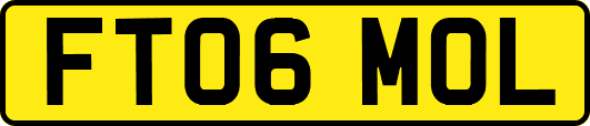 FT06MOL