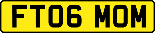 FT06MOM