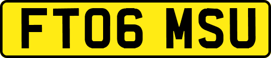 FT06MSU