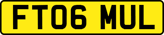 FT06MUL