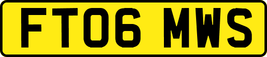 FT06MWS