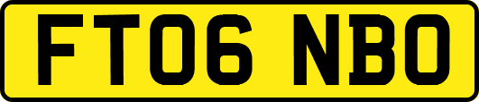 FT06NBO