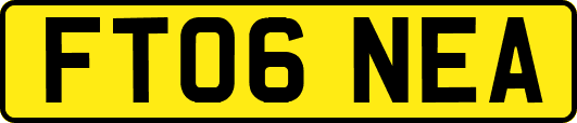 FT06NEA
