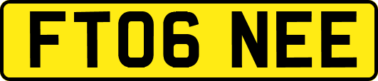 FT06NEE