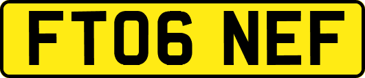 FT06NEF