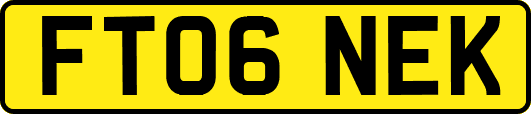 FT06NEK