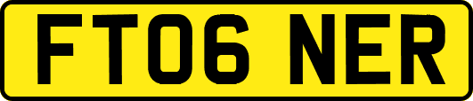 FT06NER