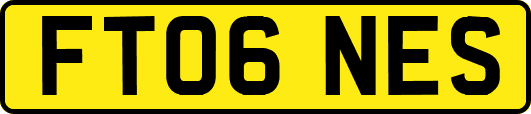 FT06NES