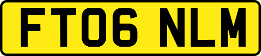 FT06NLM