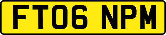 FT06NPM