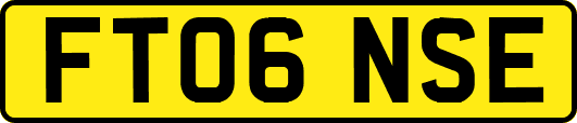 FT06NSE