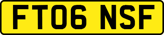 FT06NSF