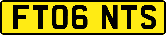 FT06NTS