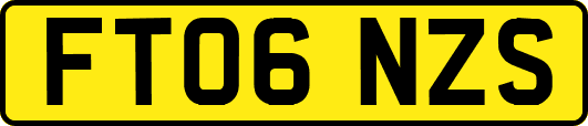 FT06NZS