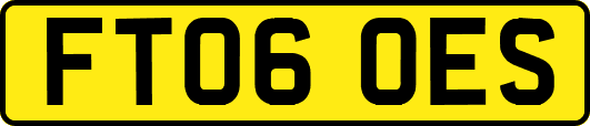 FT06OES