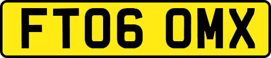 FT06OMX