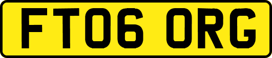 FT06ORG