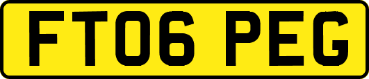 FT06PEG